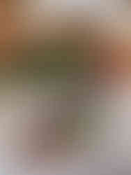 Italienische Pizza-Gerichte