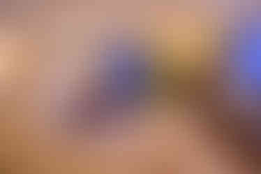 Goethe-Suite mit Weihnachtsdekoration