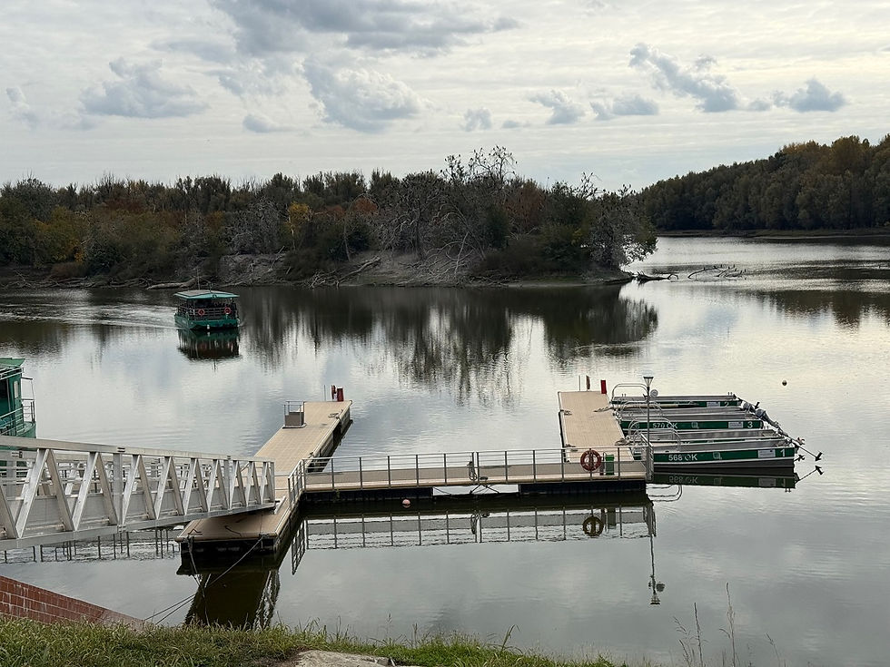 Anlegestelle für Rundfahrten durch den Naturpark Kopacki rit