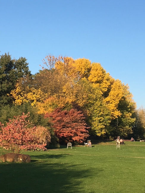 In den Gärten der Welt in Berlin-Marzahn