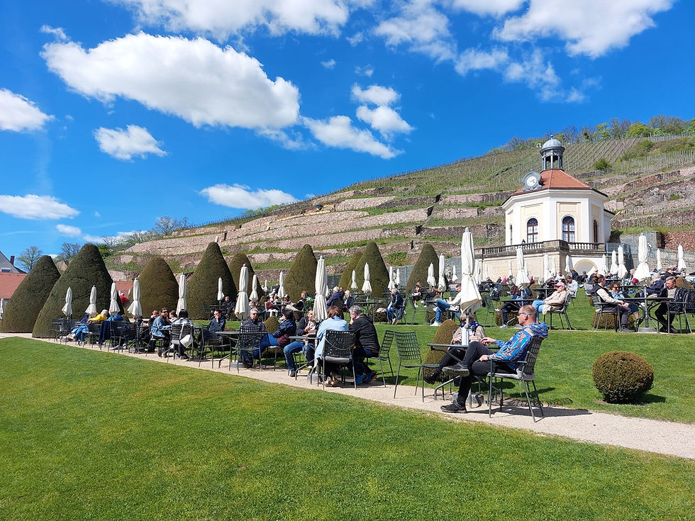 Weingenuss in der barocken Gartenanlage des Schlosses Wackerbarth