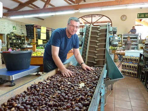 Kastanienhändler Frederic Lavesque