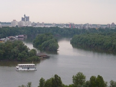 Der Zusammenfluss von Save und Donau