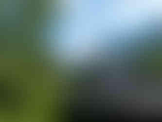 Relaxen im Hotel-Garten mit Blick auf die Berge