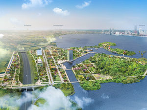 Blumen auf dem Hausdach