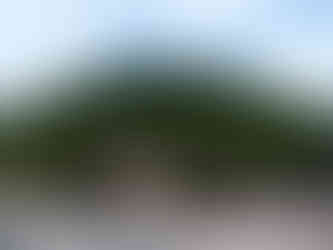 Weinberg oberhalb der Villa