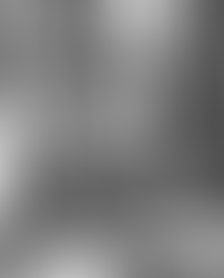 Sobre o regime político