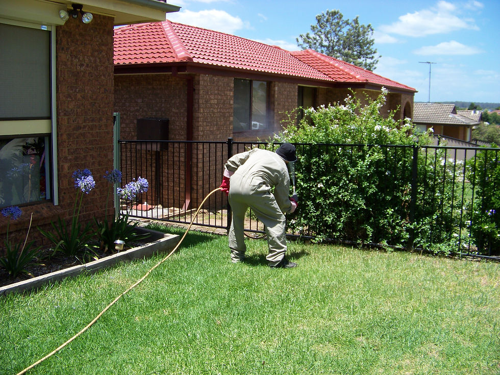 PEST CONTROL campbelltown