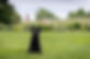 AFPL-site-web-2-4_edited.jpg