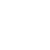 White Google+ Icon