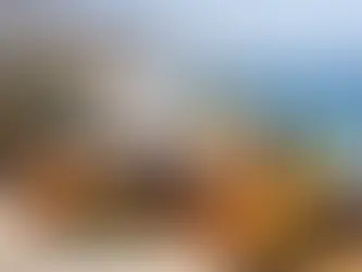 Best Edibles for Discreet Sessions in Fuengirola