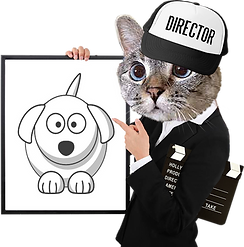 Cat director.png