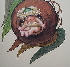 gumnut.jpg