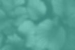 edinburgh-neuropsychology-clinic-home-services-neuropsychological-assessment-and-rehabilit