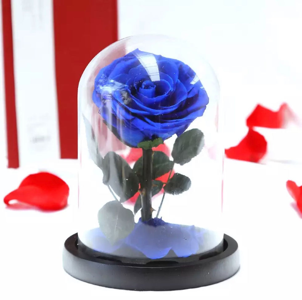 "Beauty And The Beast" Sleeping Rose In A Glass Dome