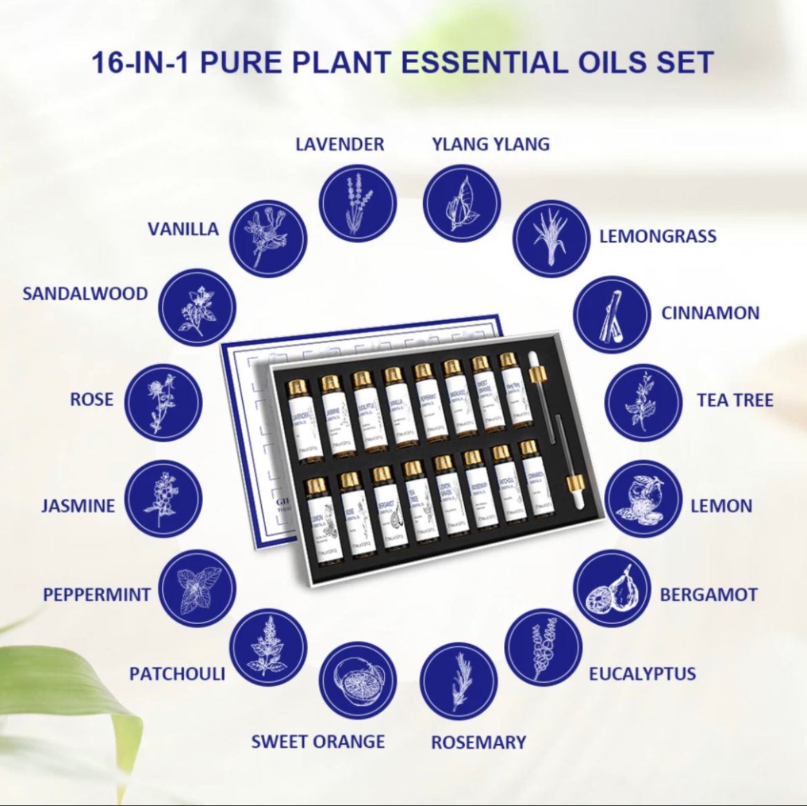 Essential Oil Set