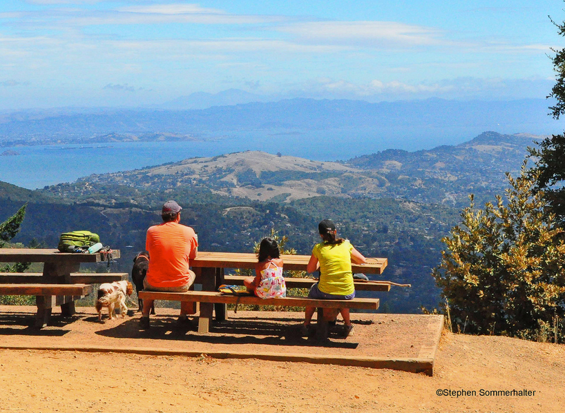 picnic table view