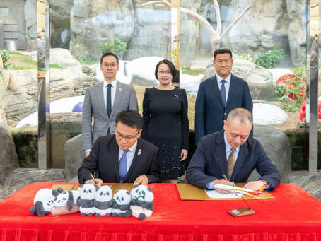 Hong Kong Airlines to launch 'panda plane' in Ocean Park collaboration