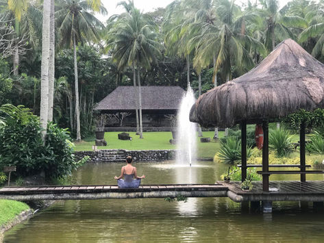 Is this the ultimate parental detox? Inside The Farm at San Benito - review