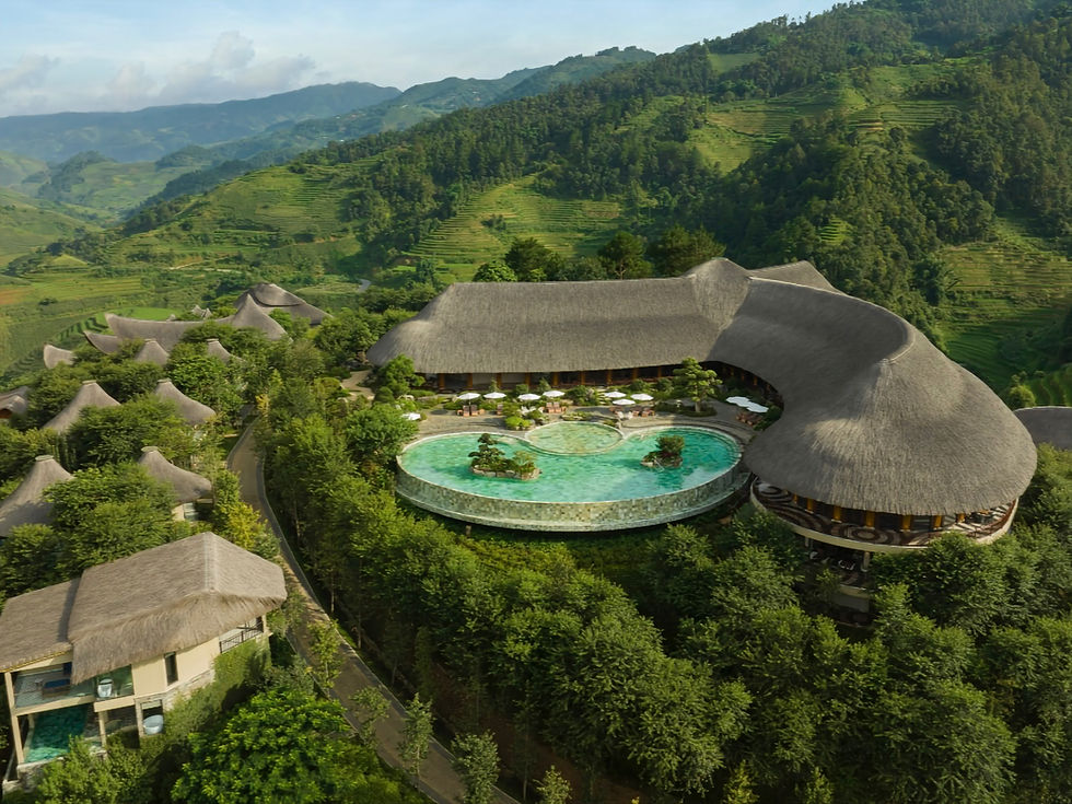 Garrya Mù Cang Chải