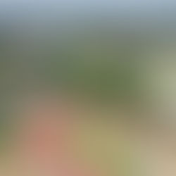 British boarding school and university expo opens in Hong Kong