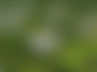 Southeast Asia's best villa resorts for families