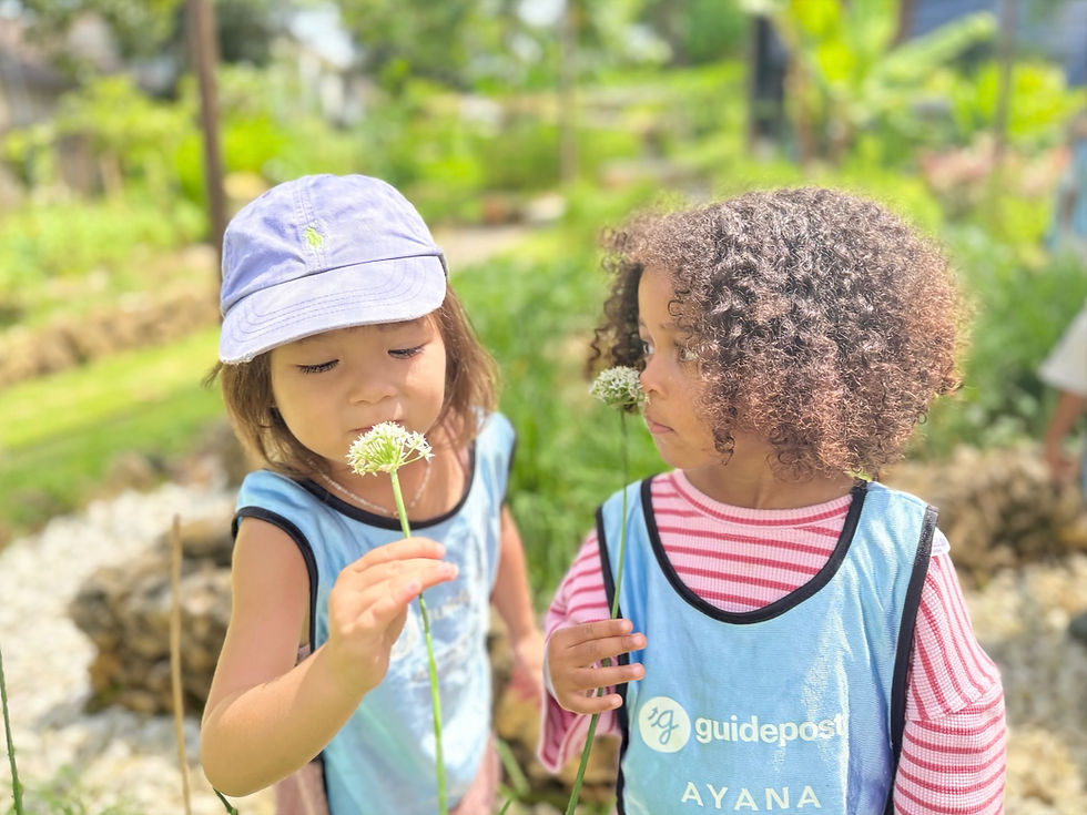 The most fun Hong Kong summer camps