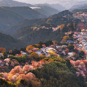 Off the beaten path in Japan