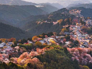 Off the beaten path in Japan