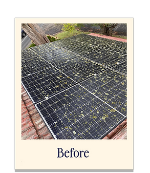 dirty solar panel covered in lichen