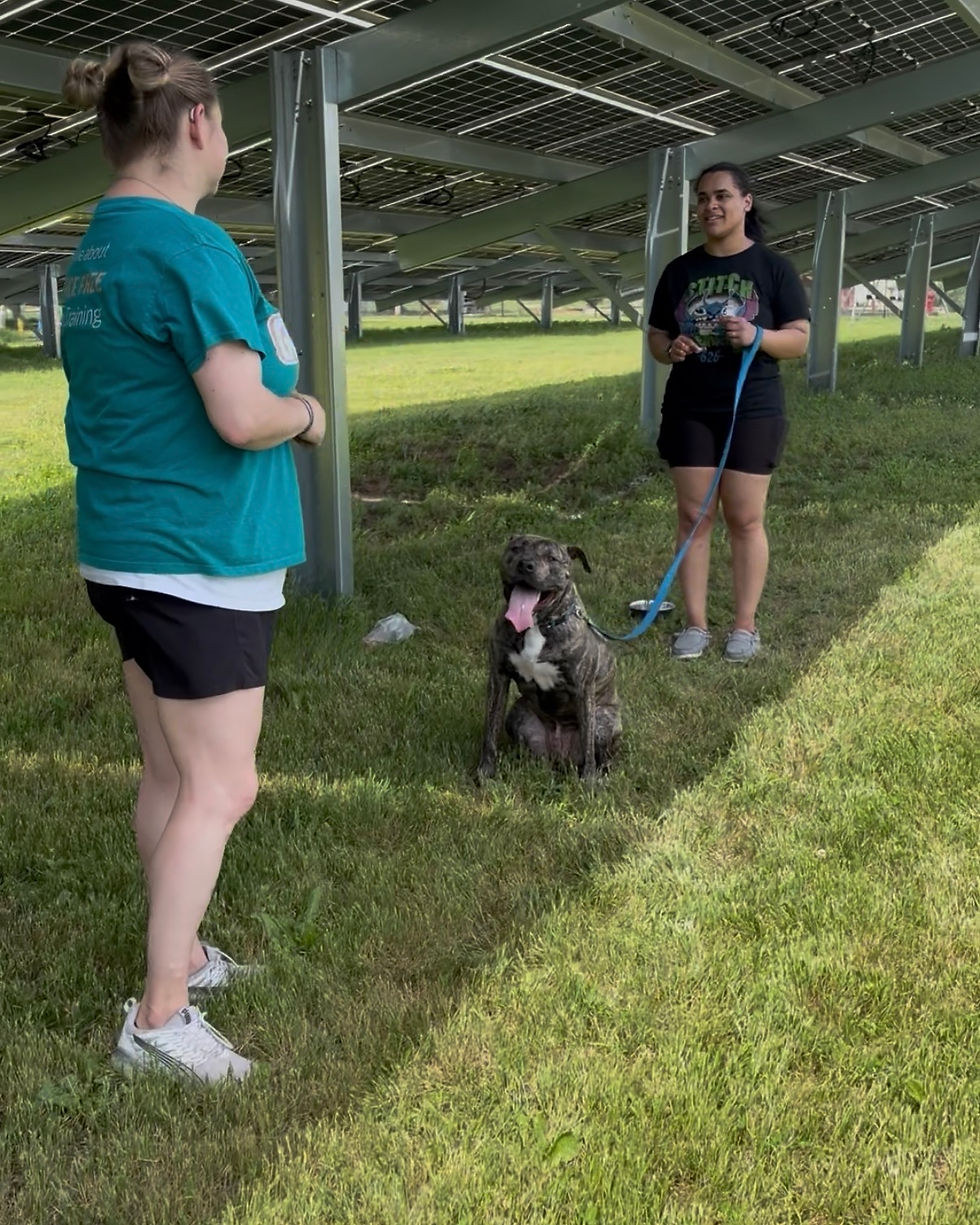 Lauren assisting at Gateway Pet Guardians Pay What You Can Classes