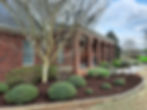 Landscaped bed Beautification
