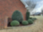 Landscaped Bed Beautification Continued