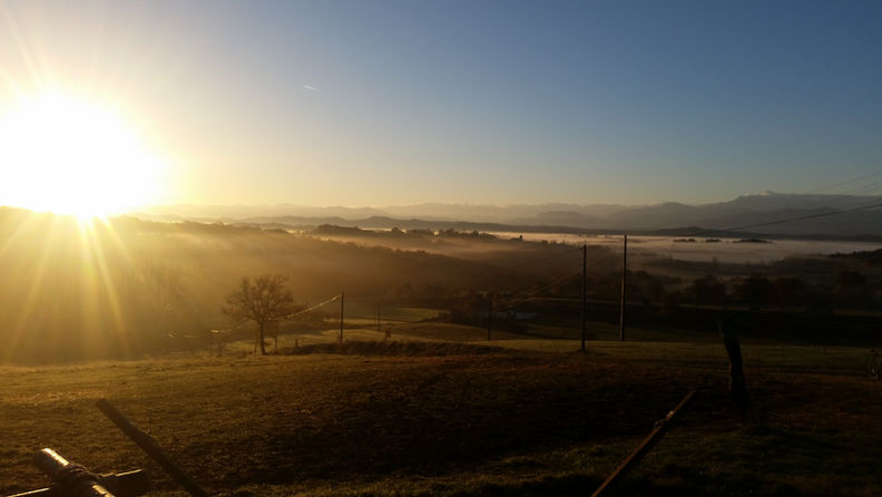 20181117_081923.jpg