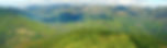 paysage bandeau.jpeg - copie.jpeg