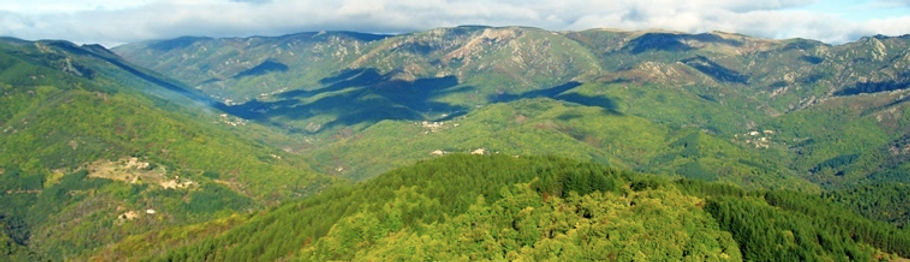 paysage bandeau.jpeg - copie.jpeg