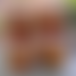 Les bienfaits de l’ail fermenté au miel