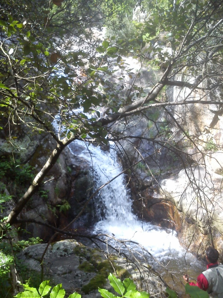 peche