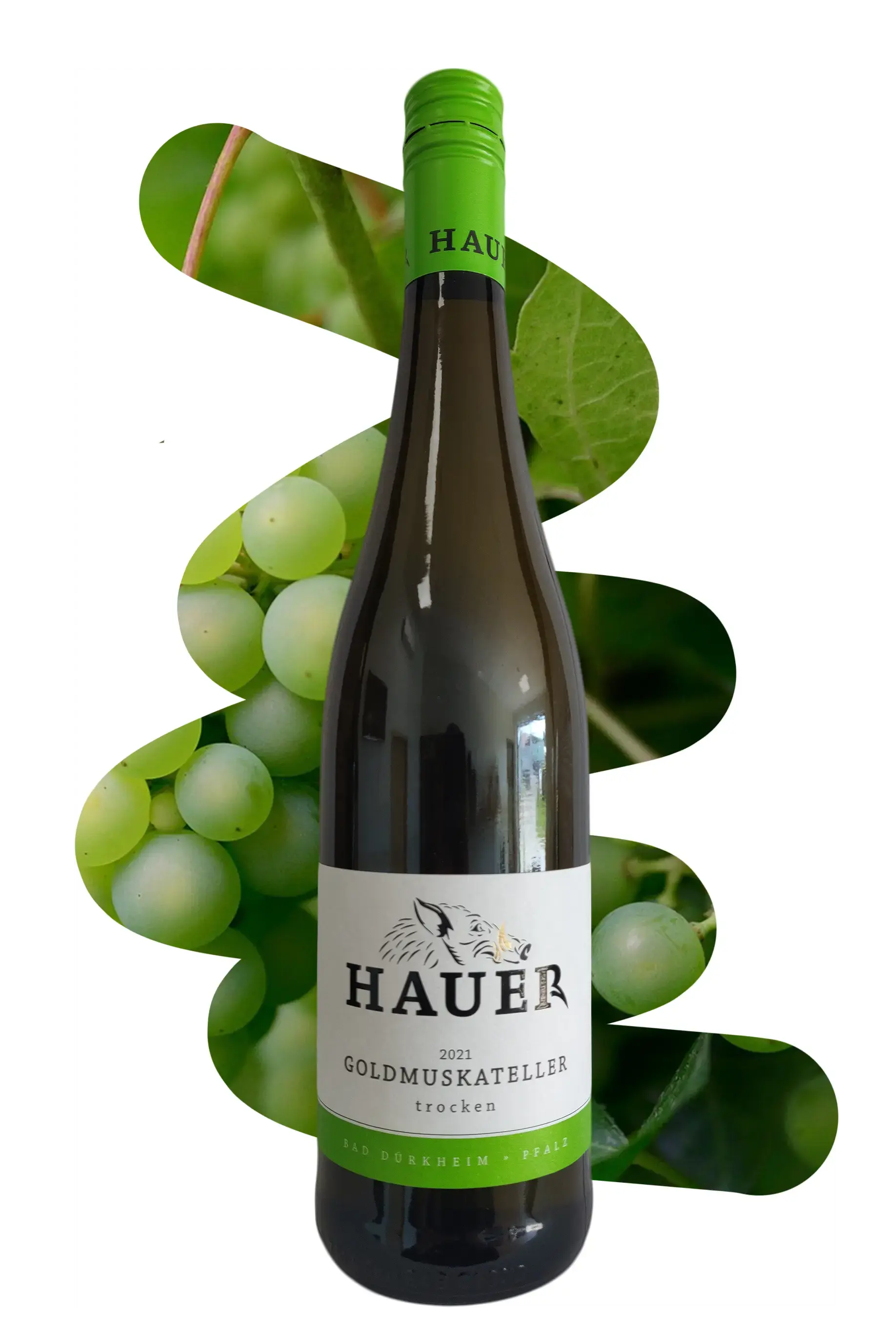 Weingut Hauer - Goldmuskateller