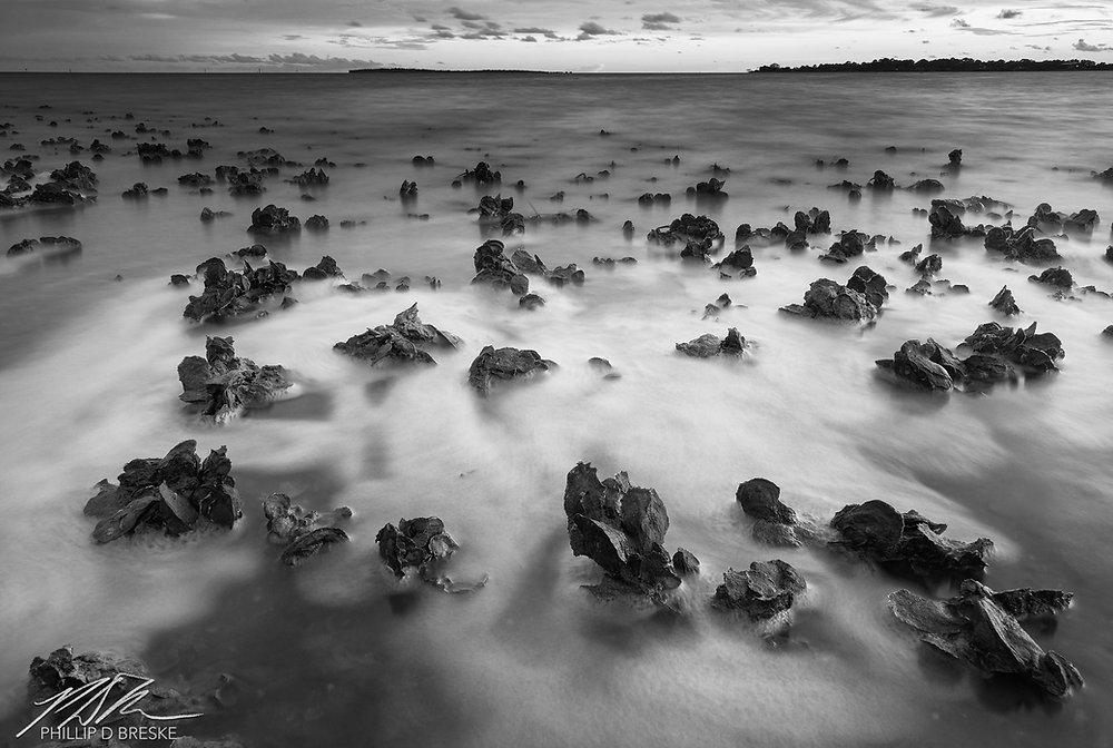 Low tide at Cedar Key