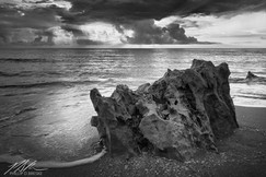 Blowing Rocks at low tide #2, October 2019