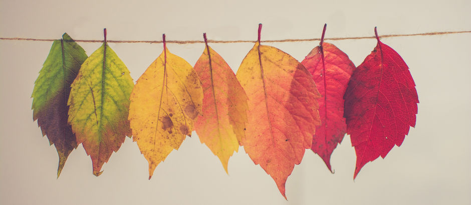 A New Season