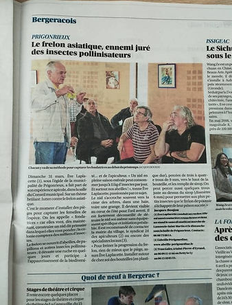 Le frelon asiatique réunion à Prigonrieux en Dordogne