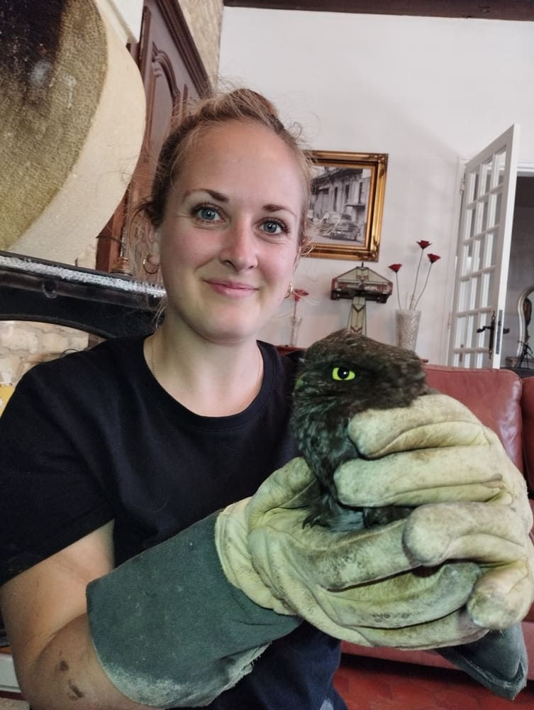 Betty SE LY, fondatrice de SELY Guêpes Frelons à Prigonrieux, tenant une chouette chevêche sauvée avec ses gants de protection lors d'une intervention à Bergerac, Dordogne