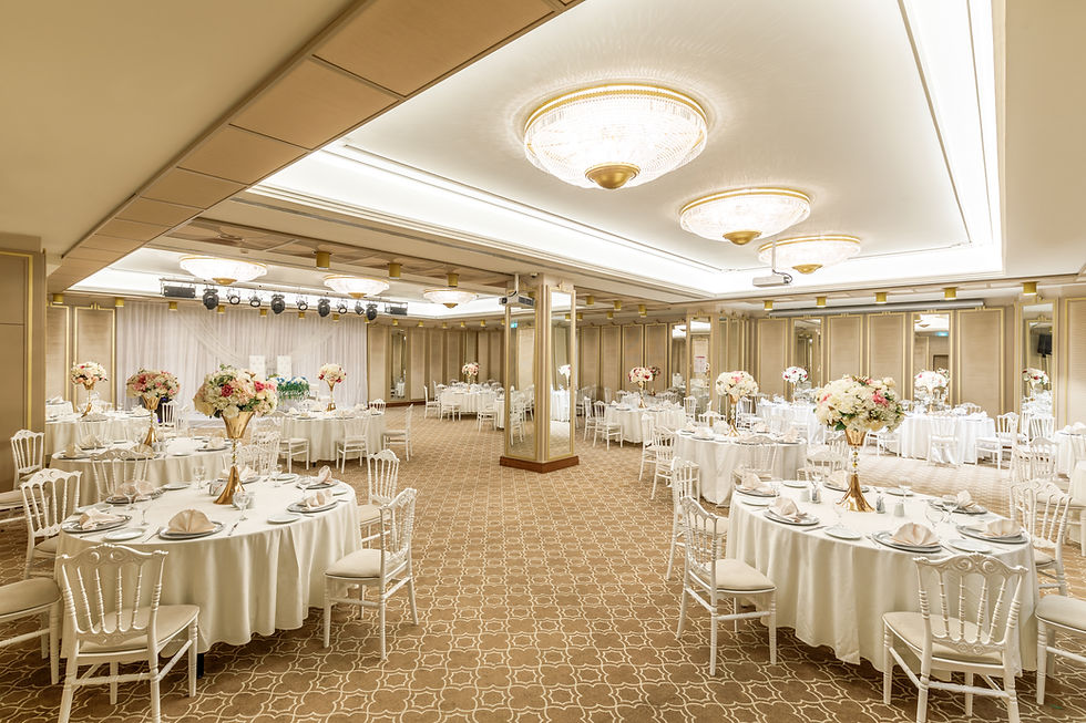 TOPLANTI DUGUN- Ramada Golden Horn Otel