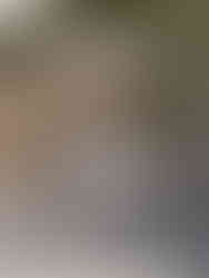 North Avoca - 3d Design of custom designed Cabana, Daybed & Sandstone retaining wall.