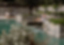 Terrigal Luxury Transcended - Luxury Pools and Outdoor Living Central Coast - Landscape (6