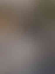 North Avoca - 3d Design of custom designed Cabana, Daybed & Sandstone retaining wall.