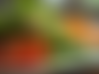 Çalışanlar İçin Beslenme: Kurumsal İkame Programları