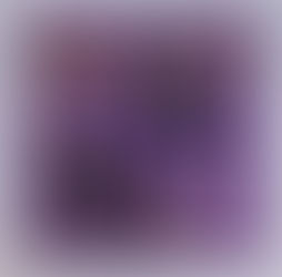 Scaredy Cat Shadow Box